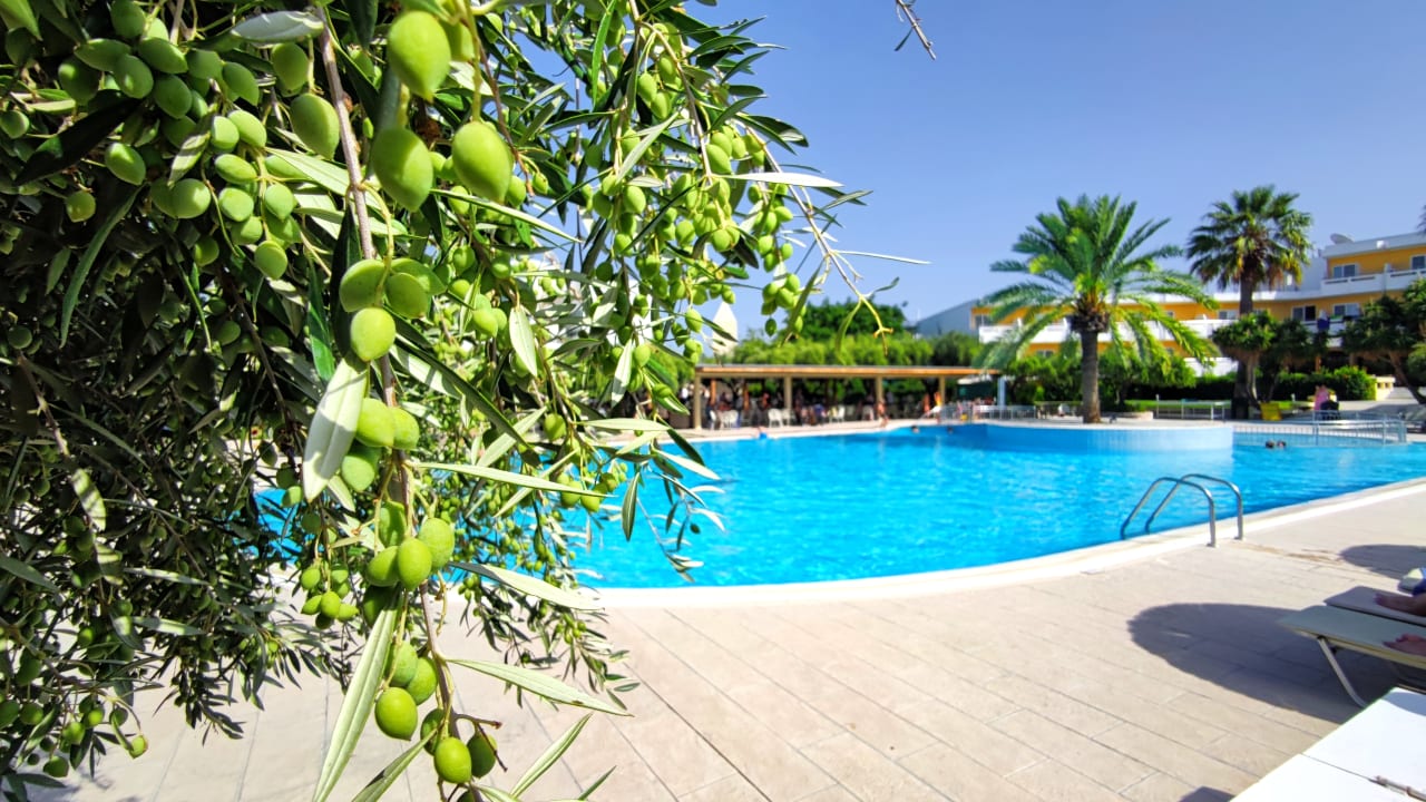 Pool TUI KIDS CLUB Alex Beach