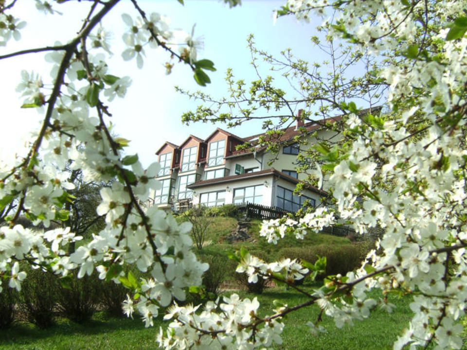 Hotel im Frühling Landhotel Burgenblick