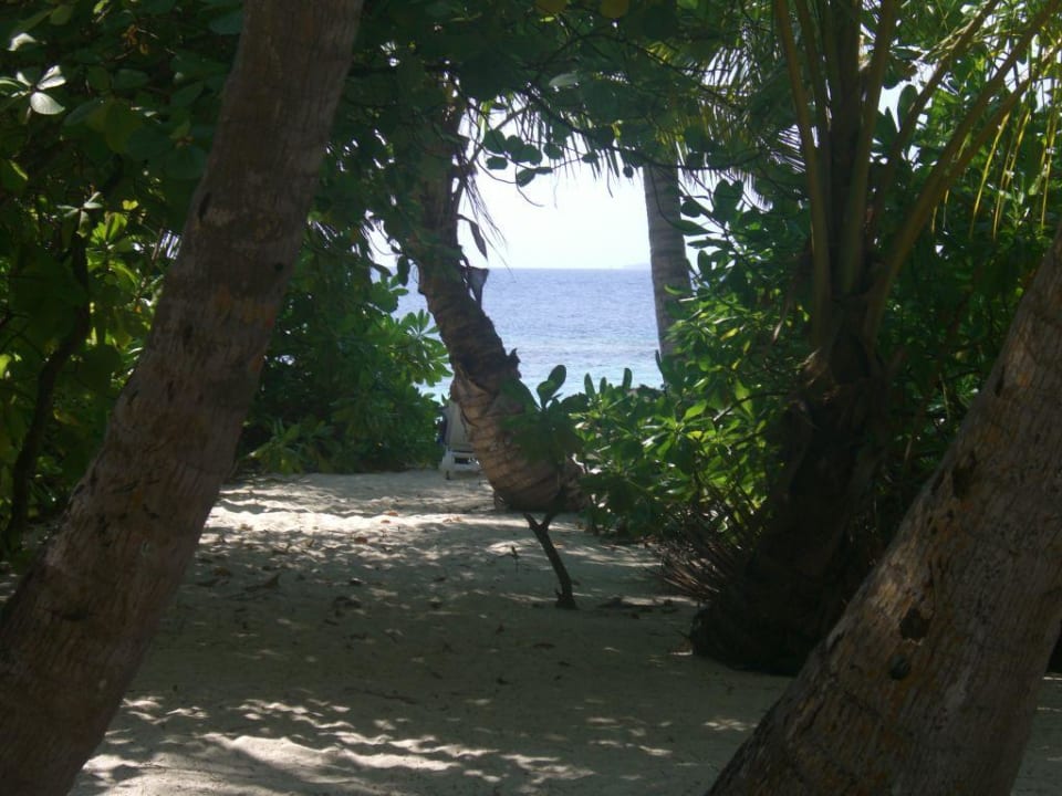 Hotel Bandos Island Resort Bandos Maldives