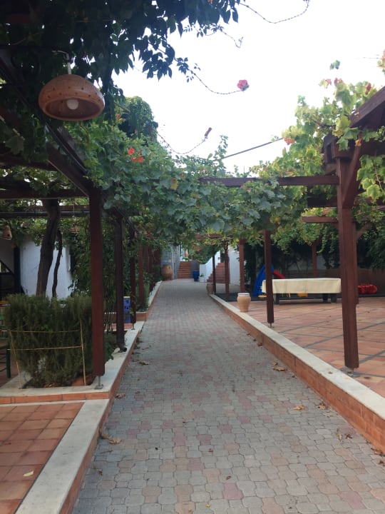 Außenansicht Kalypso Hotel