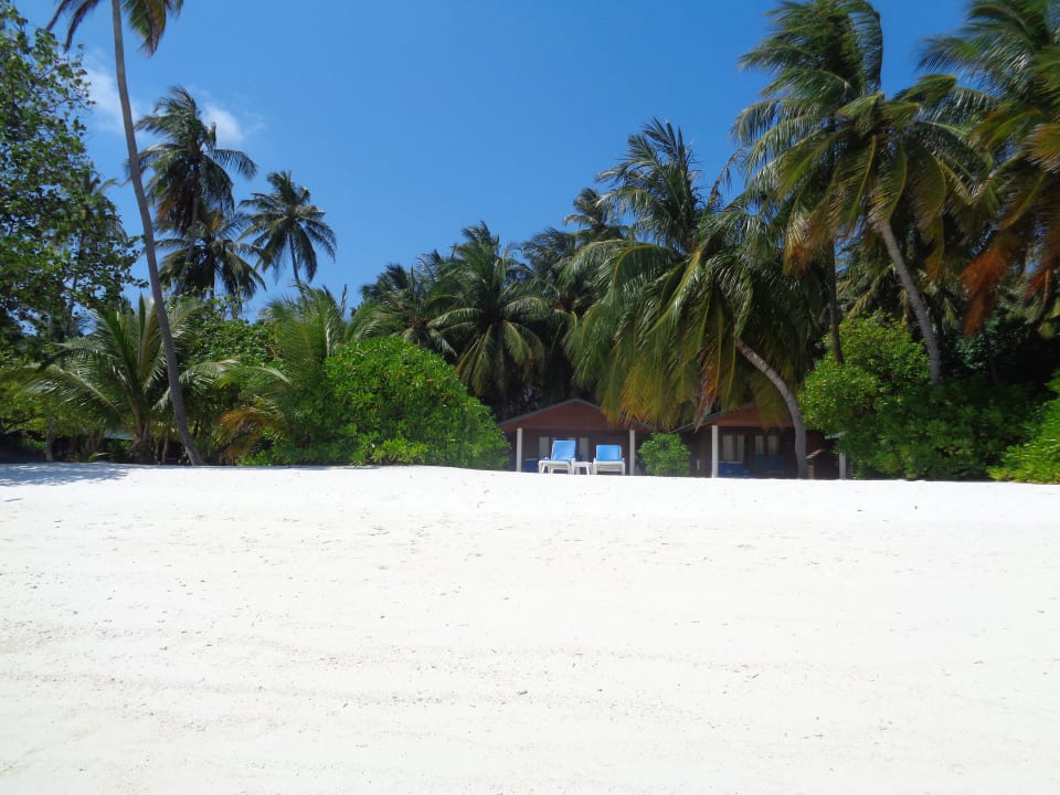 Einfach ein Paradies! Meeru Maldives Resort Island