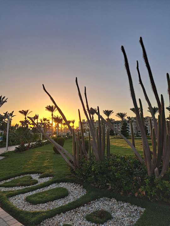 Gartenanlage Pickalbatros Dana Beach Resort - Hurghada