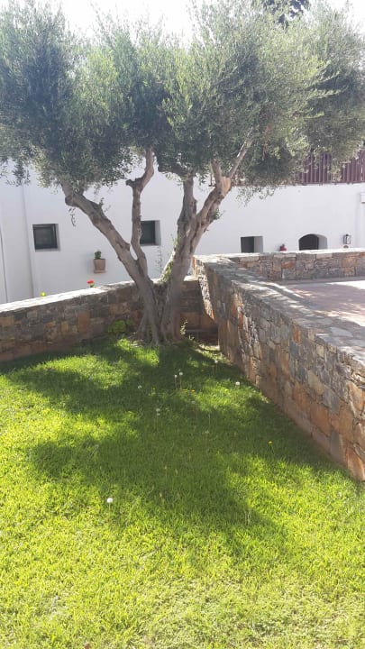 Ausblick von der Terrasse  Creta Maris Resort