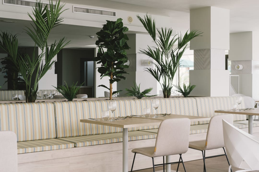 Gastro AluaSoul Palma