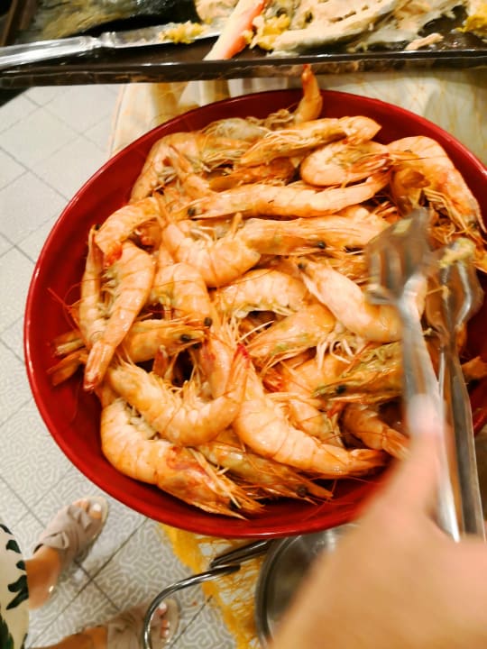 Gastro Royal Seginus