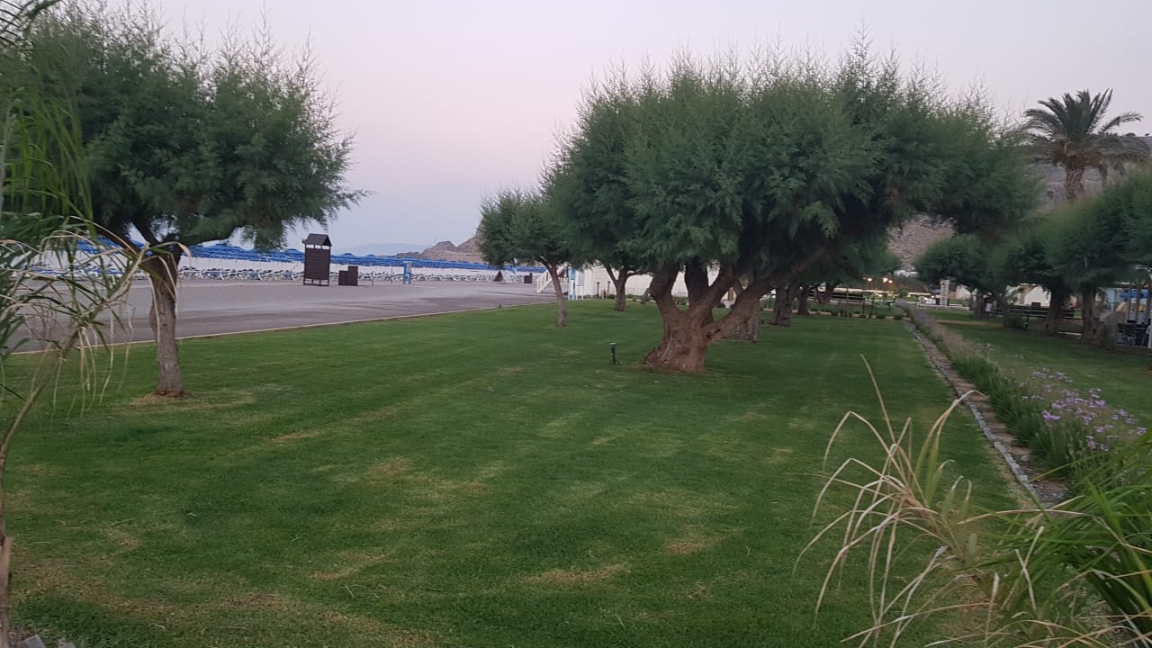 Gartenanlage Lindos Princess Beach Resort & Spa