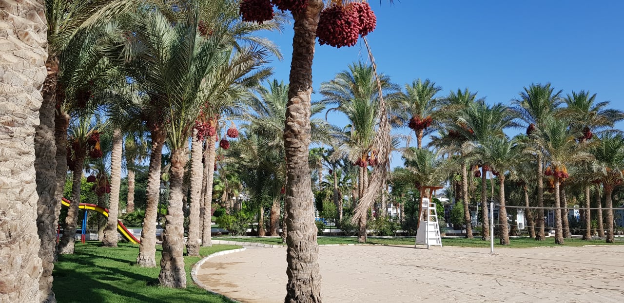 Strand The Grand Hotel Hurghada