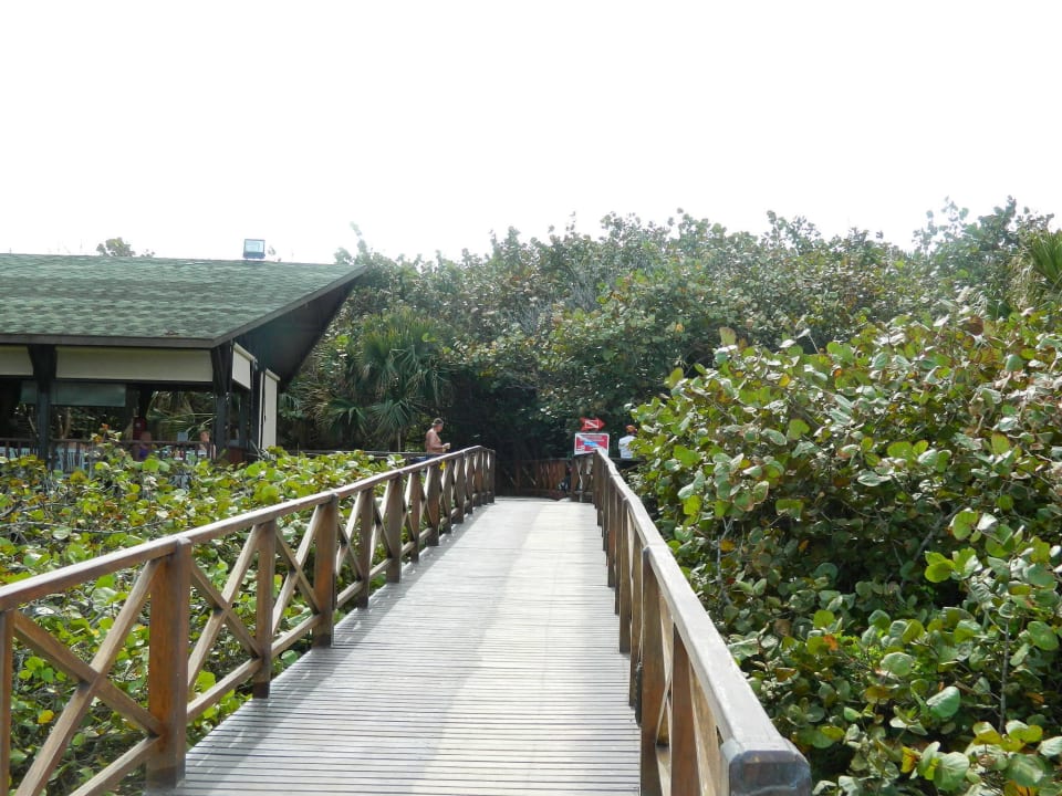 Weg zum Strand Blau varadero - Adults only