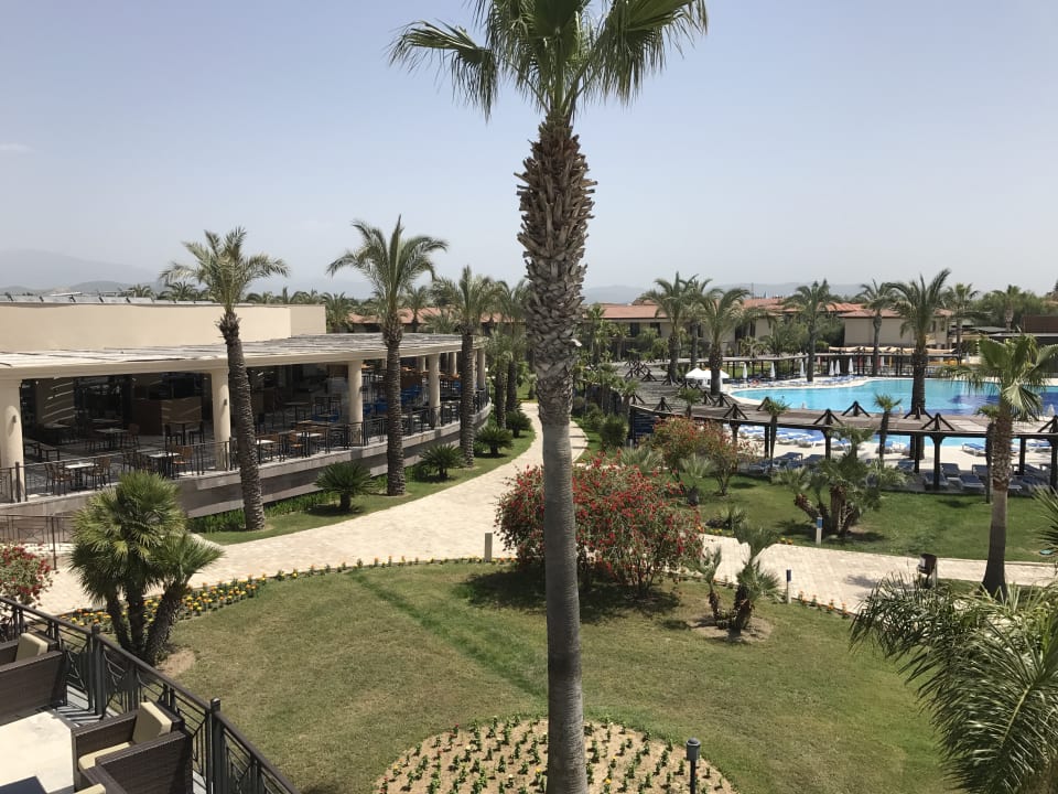 Pool TUI BLUE Palm Garden