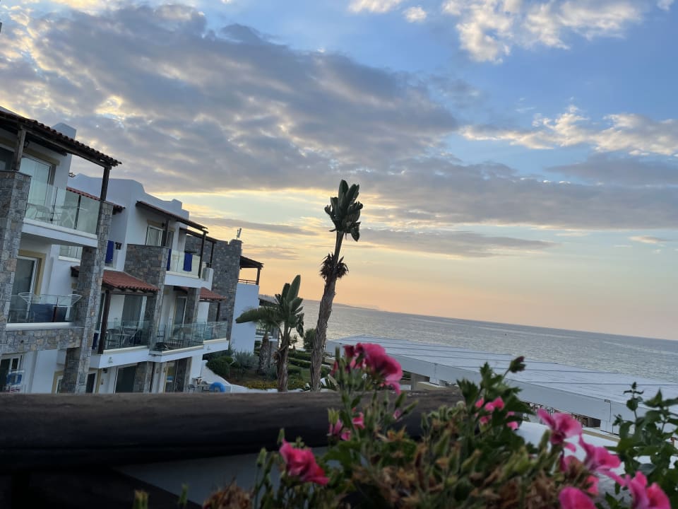 Ausblick Alexander Beach Hotel & Village Resort