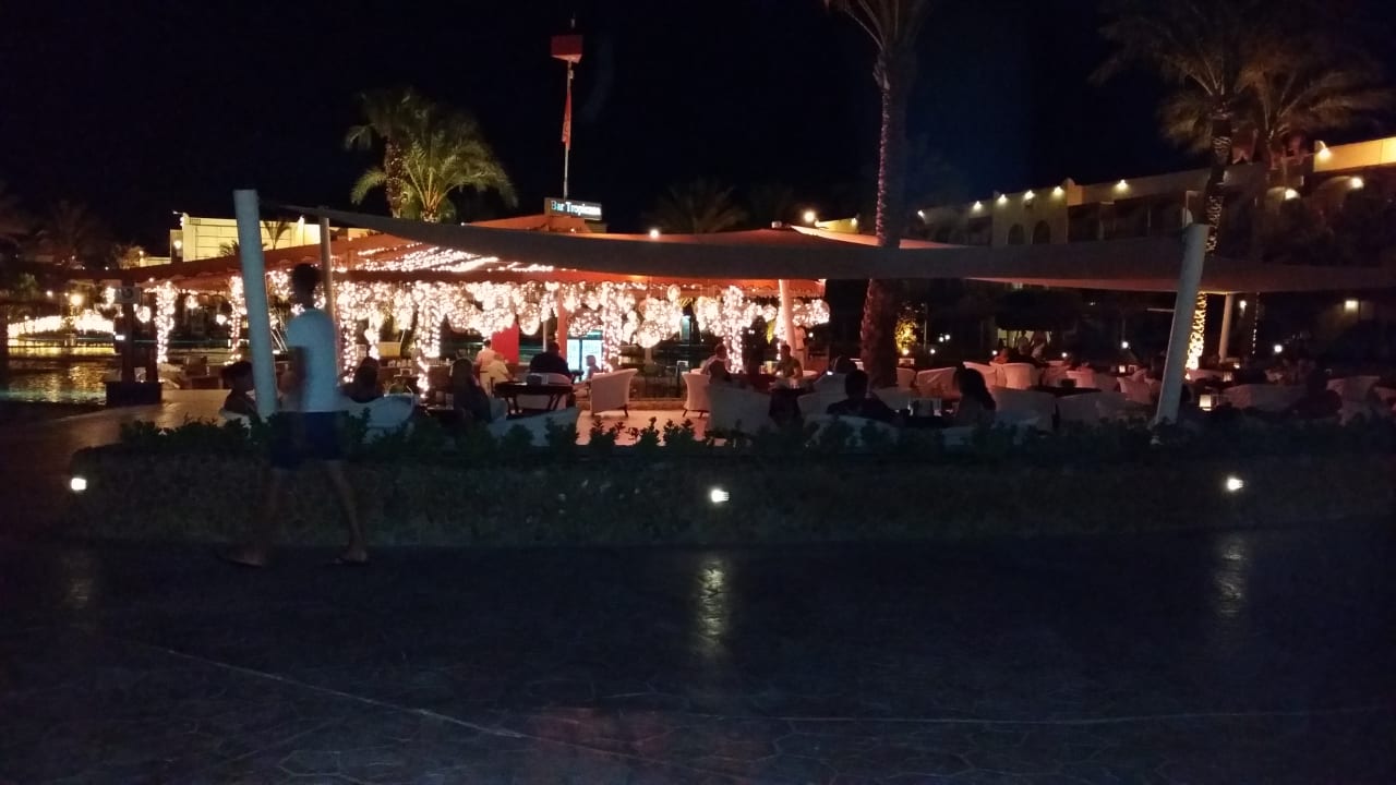 Sonstiges Desert Rose