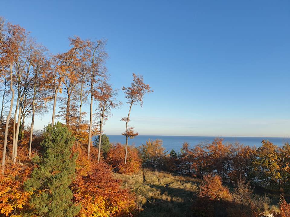 Ausblick Strandhotel Seerose