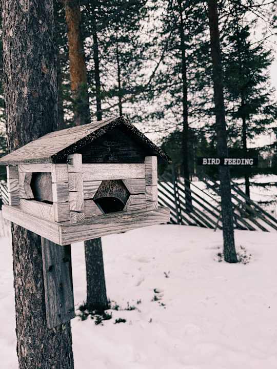 Sonstiges Santa's Igloos Arctic Circle