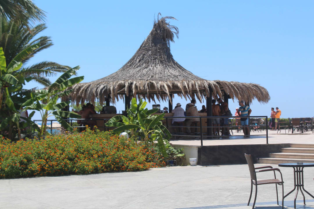 Бар у пляжа Starlight Resort Hotel