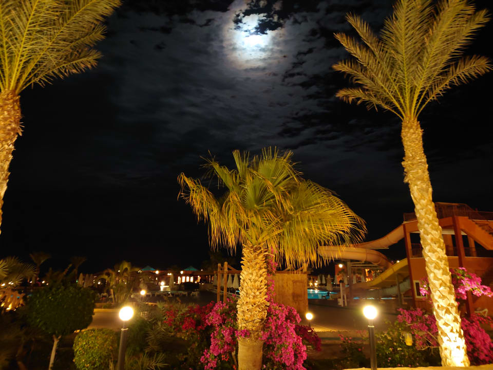 Ausblick Three Corners Happy Life Beach Resort