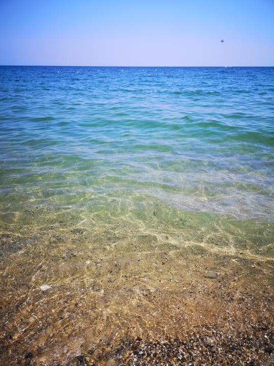 Strand Sentido Marea