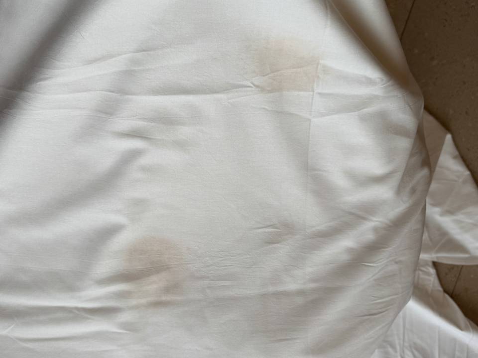 Zimmer Hotel Riu Palace Santa Maria