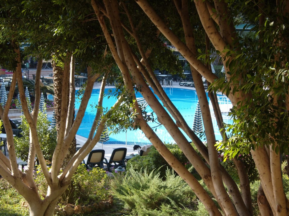Hauptpool beim Restaurant Hotel Gardenia Beach