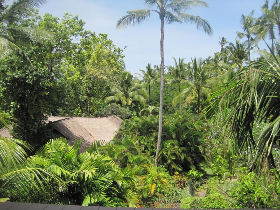 Ausblick aus unserem Zimmer Hyatt Regency Bali