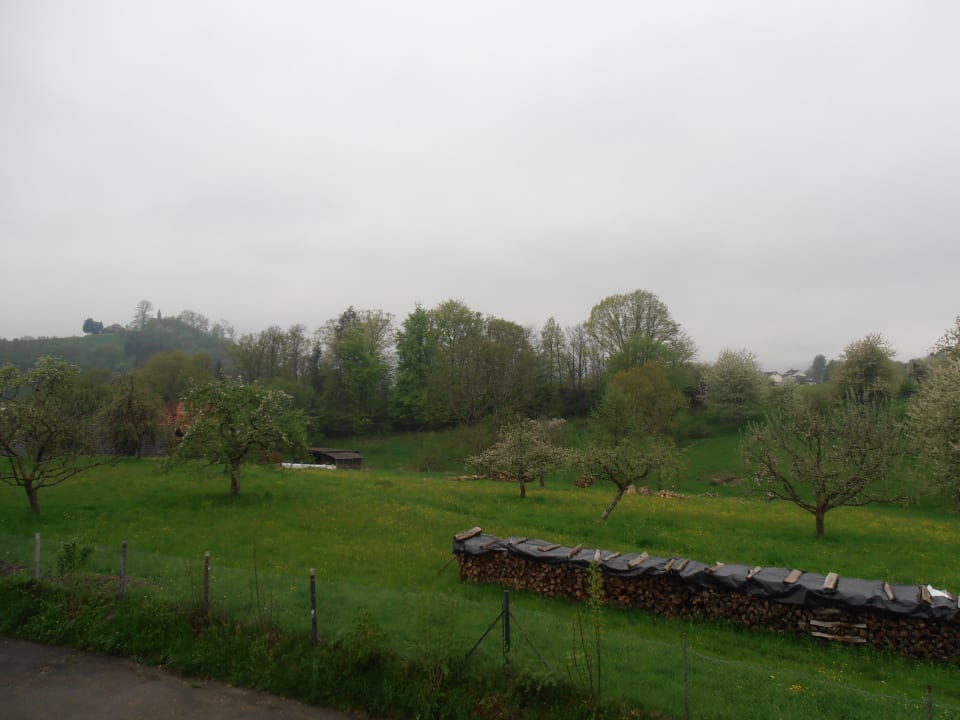 Grünanlage neben dem Hotel Weinhotel Pfeffer & Salz