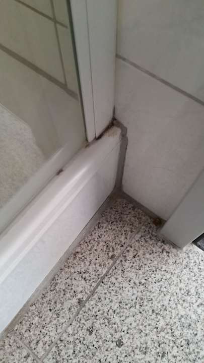 Schimmel und Dreck Hotel Ernst Ludwig