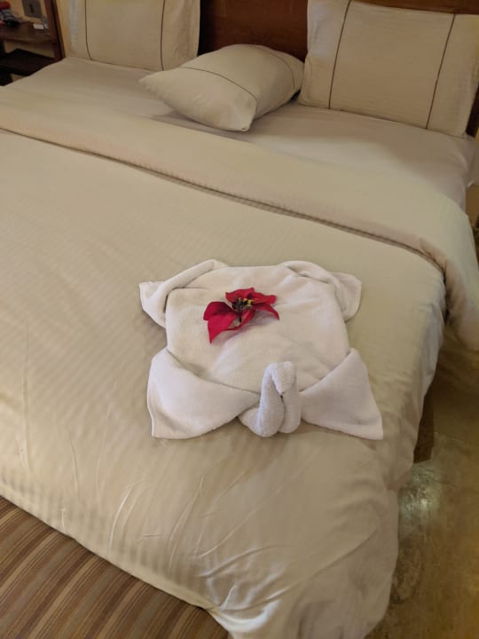 Zimmer Grand Waterworld Makadi & Family Star Makadi