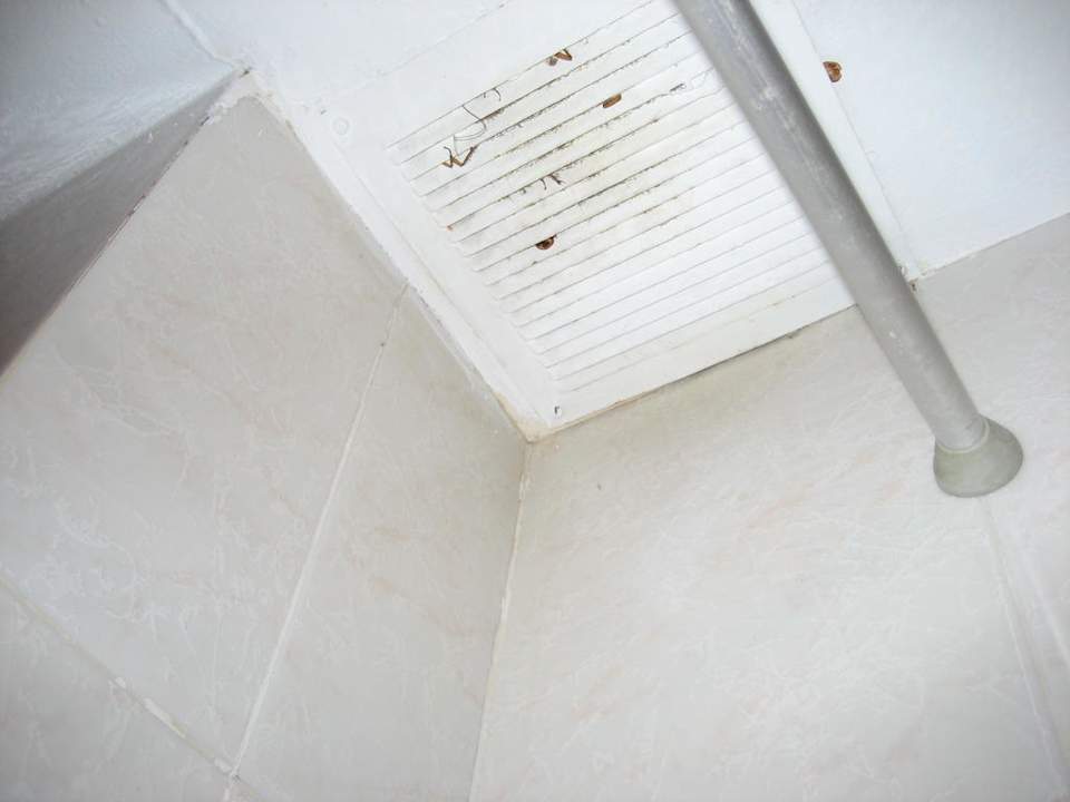 Bad Hotel Green Ocean