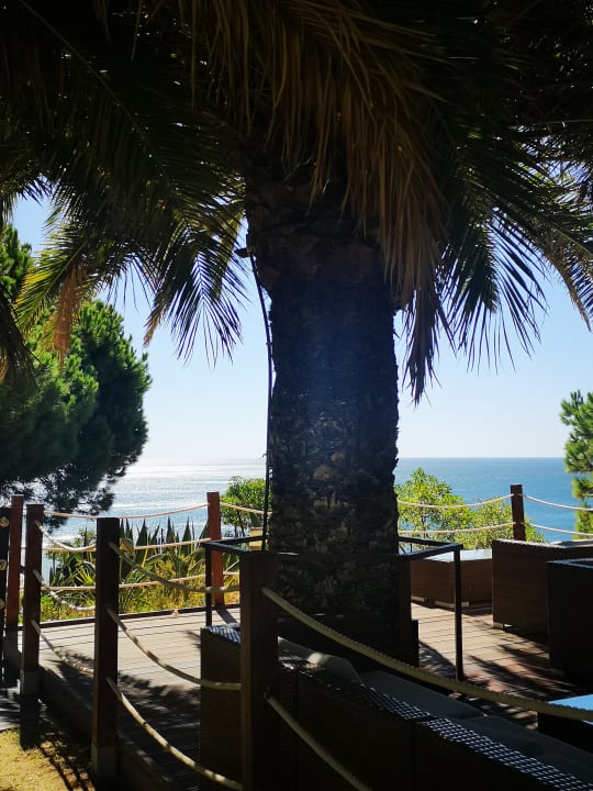 Gartenanlage PortoBay Falésia