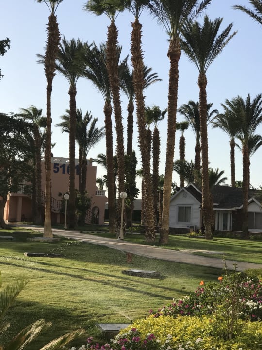 Gartenanlage Beach Albatros Resort