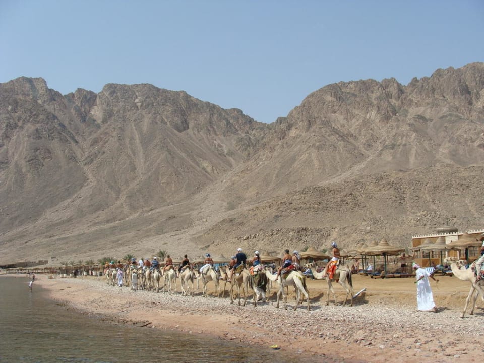 Karawane Happy Life Village