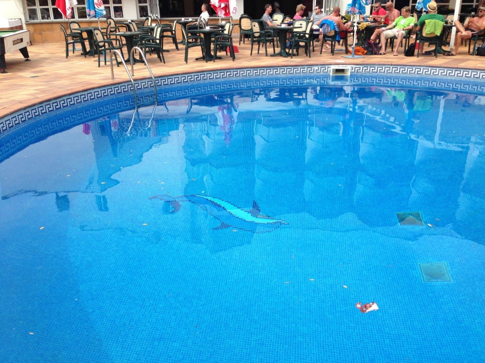 Dreck im Pool Hotel Clumba