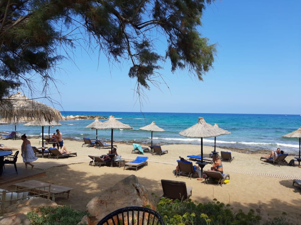 Strand Phãea Cretan Malia