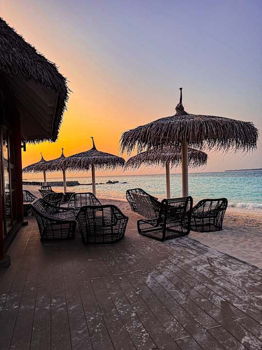 Gastro Brennia Kottefaru