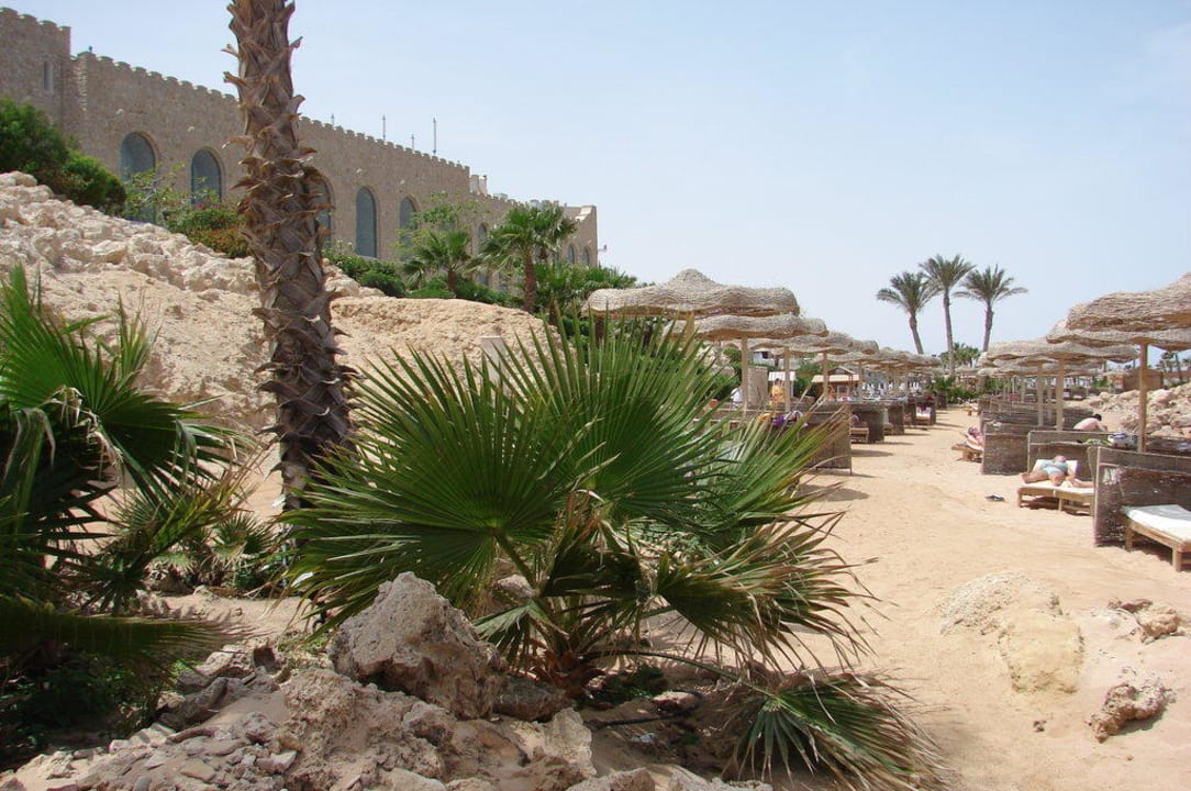 Хочу обратно! Pickalbatros Citadel Resort