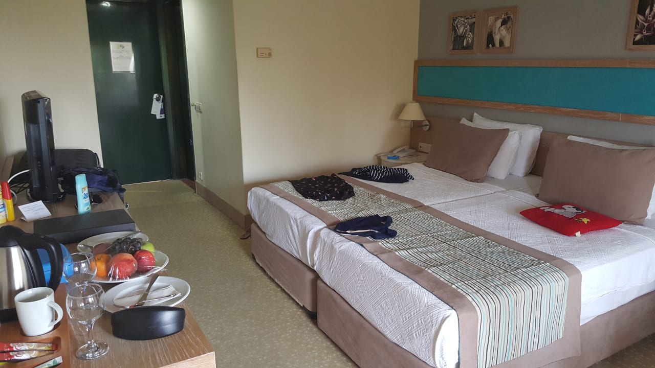 Zimmer Asteria Collection Side