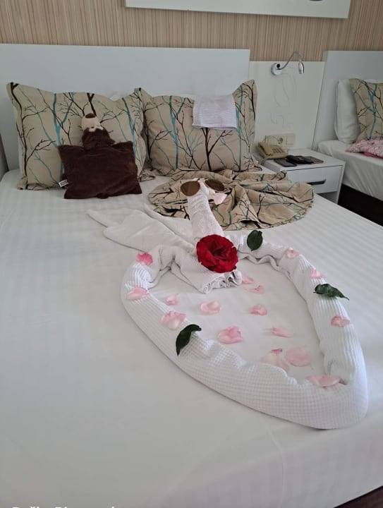 Zimmer Side Miami Beach