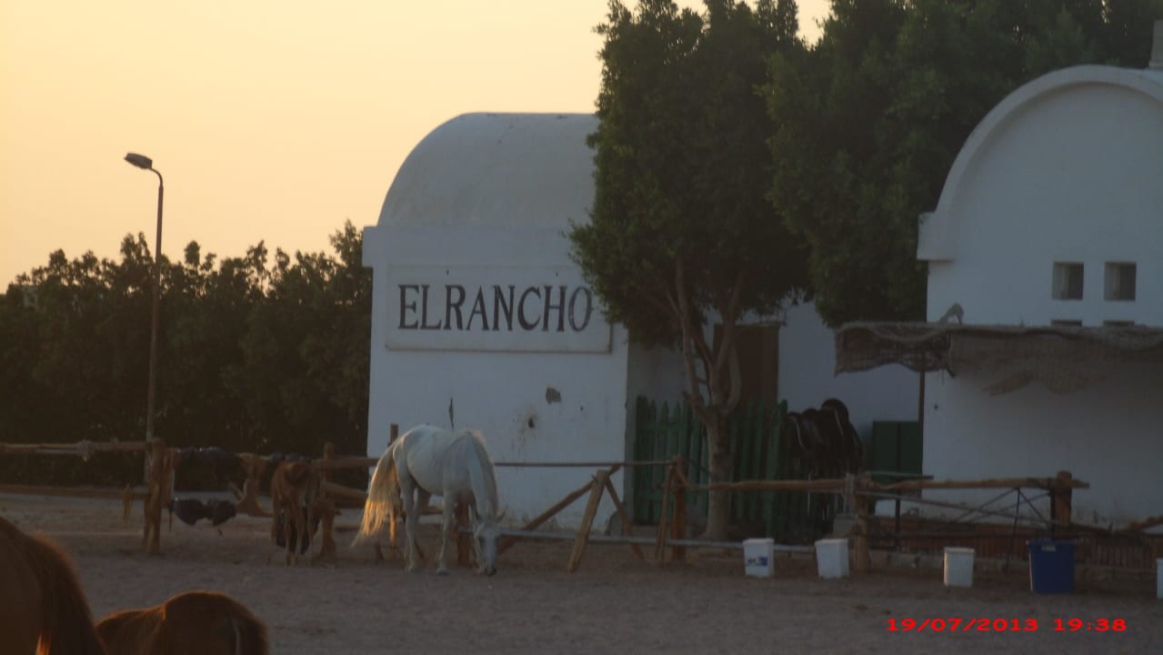 Pferderanch Hotel Mercure Hurghada