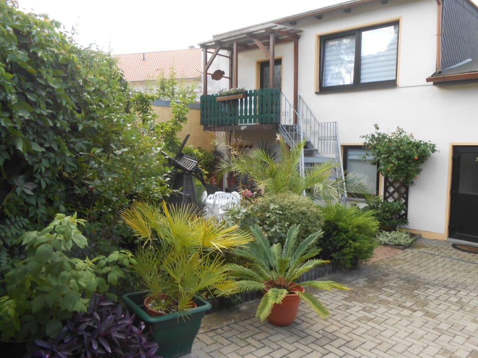 Palmengarten Ferienwohnungen Am Mühlenberg