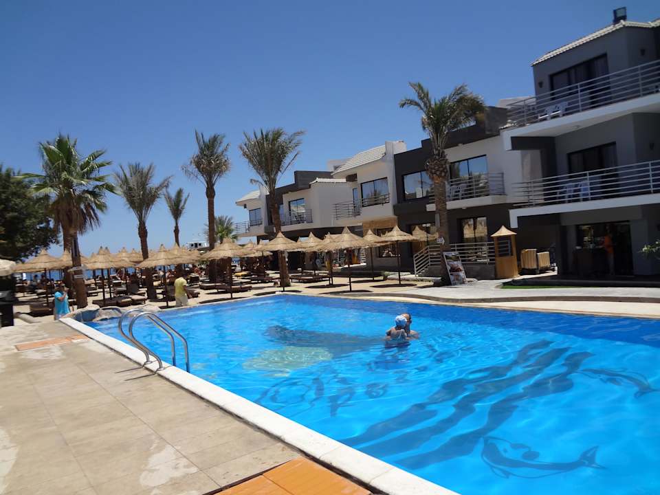 Za basenem plaza Seagull Beach Resort