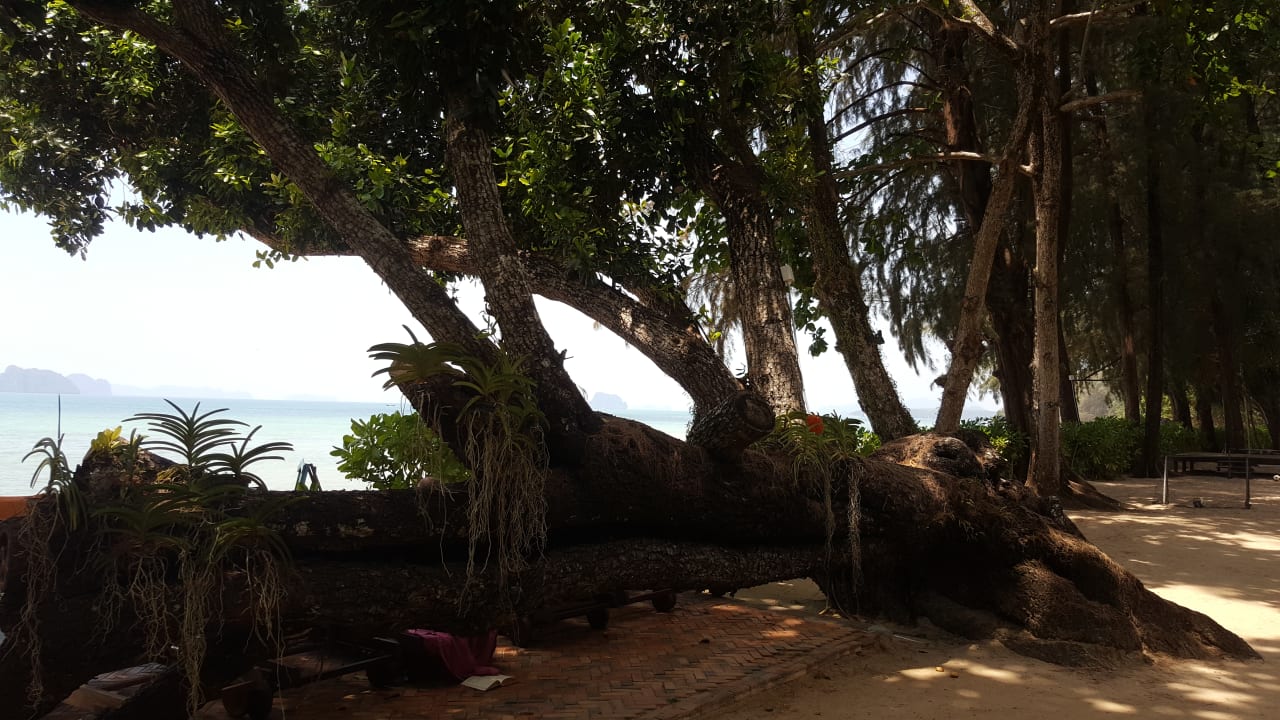 Garten Tup Kaek Sunset Beach Resort