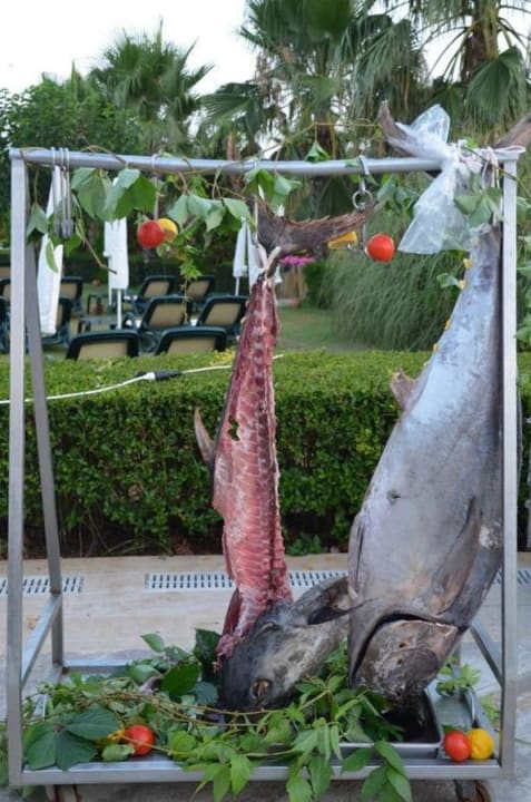 Beim Gala-Abend Trendy Aspendos Beach Hotel