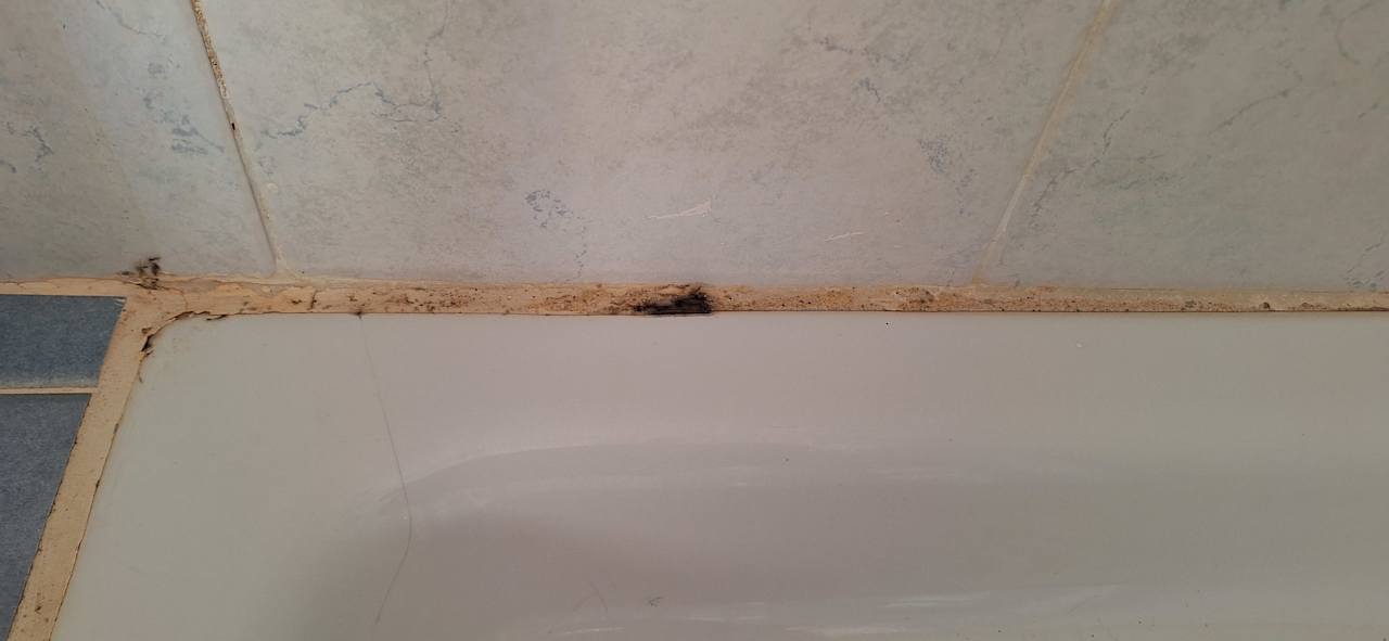 Sonstiges Club Esse Shardana