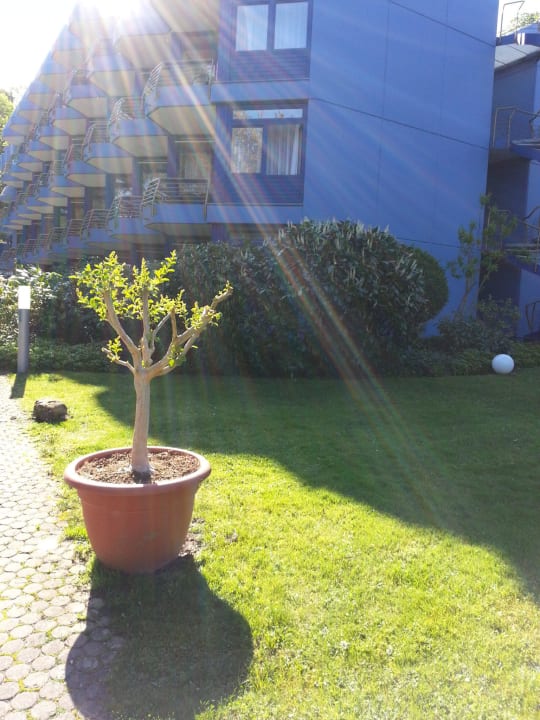 Die ganze Anlage ist sauber und gepflegt Fini-Resort Badenweiler