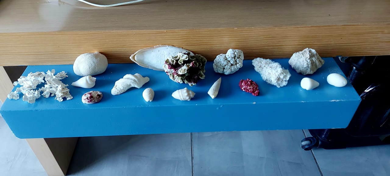 Sonstiges Novotel Marsa Alam Beach Resort