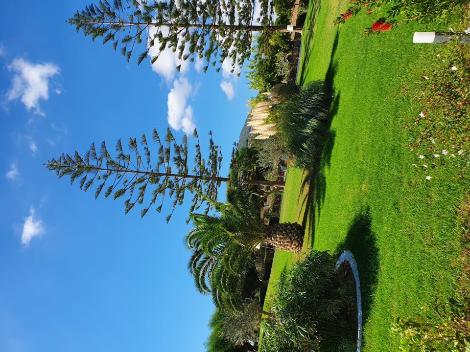 Gartenanlage TUI BLUE Oceanis Beach and Spa Resort