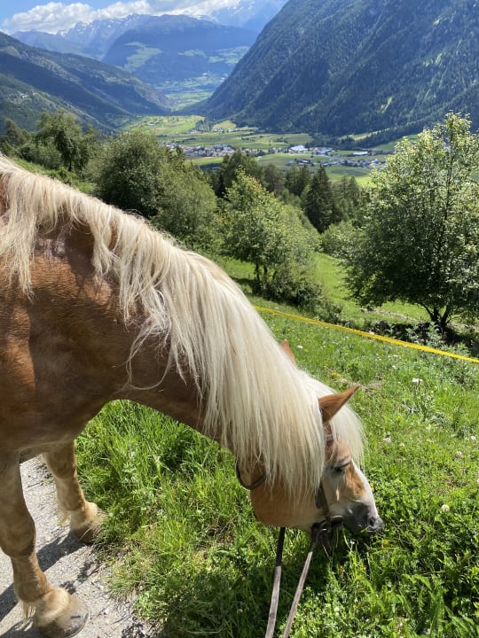 Gartenanlage Tuberis Nature & Spa Resort