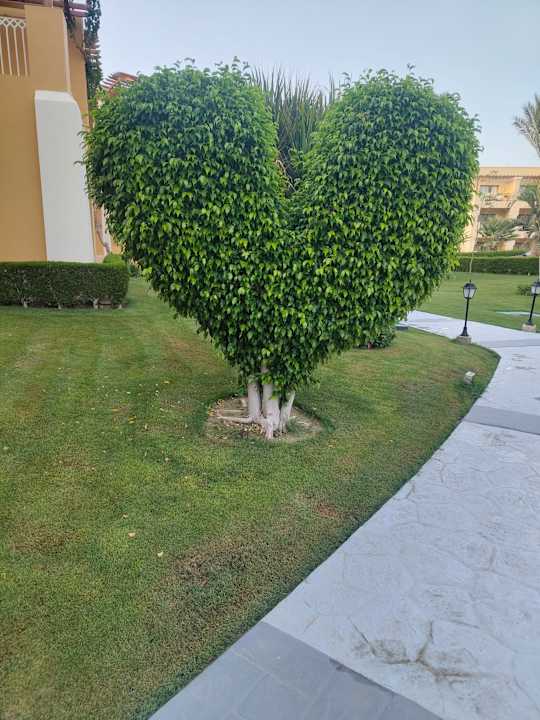 Außenansicht Jaz Solaya