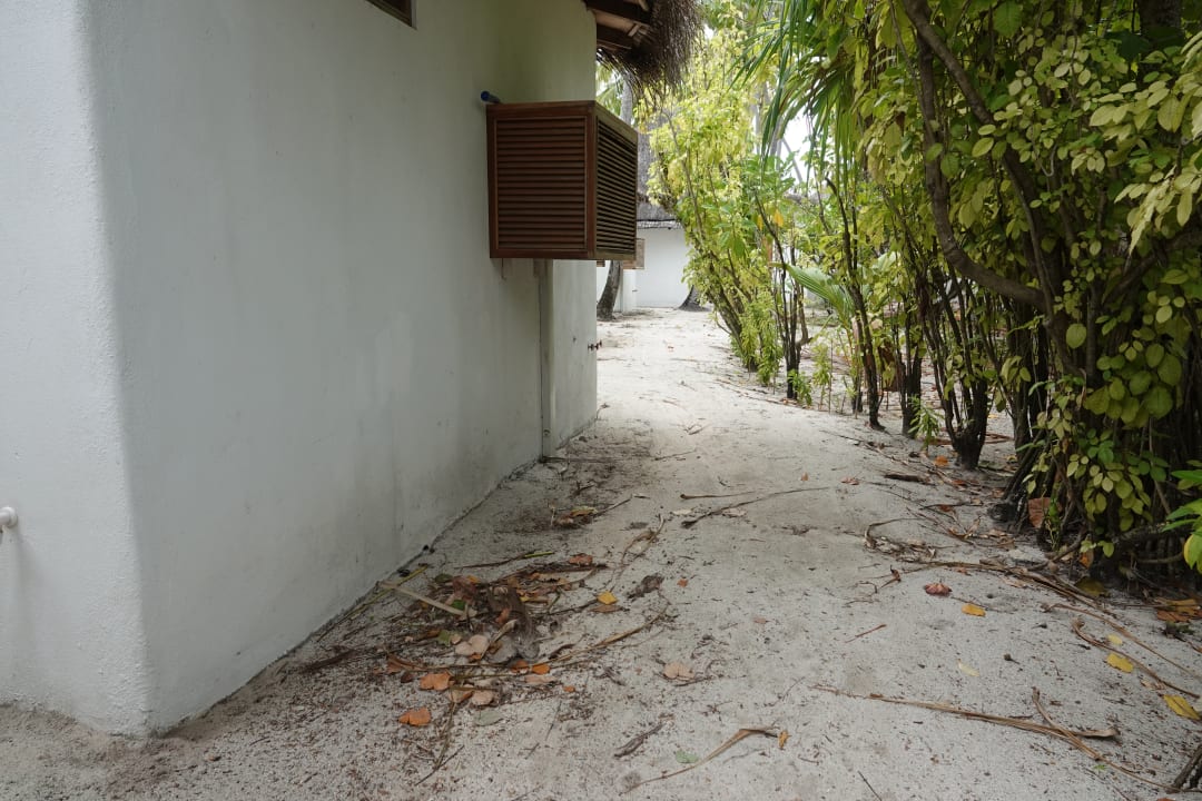 Gartenanlage Angaga Island Resort
