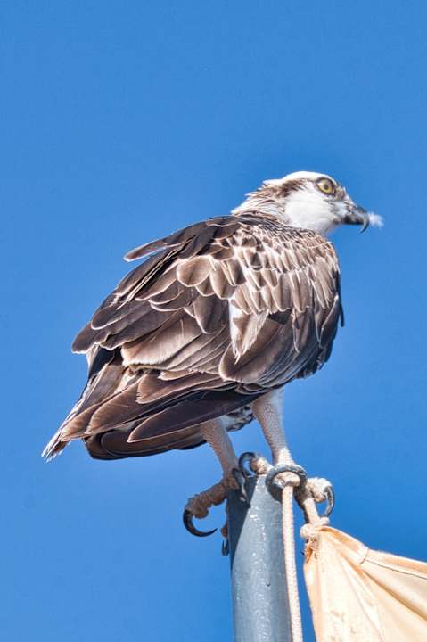 Strand Steigenberger Coraya Beach - Adults only