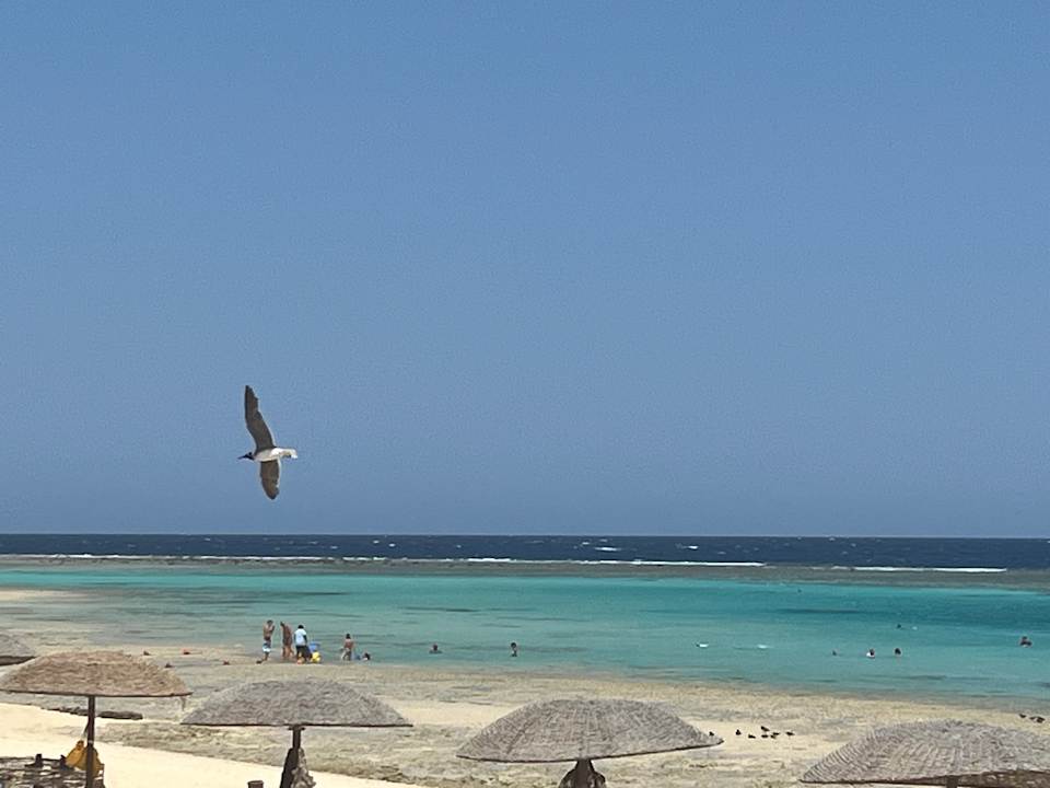 Strand Hotel Gorgonia Beach Resort